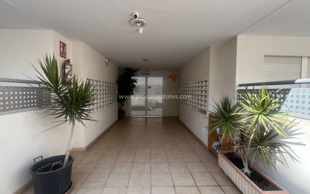 Reventa - Apartamento - Almoradi