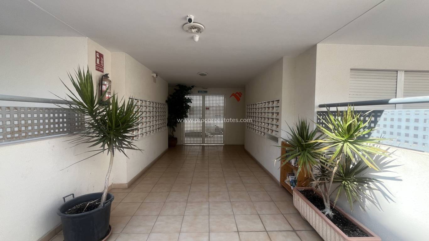 Reventa - Apartamento - Almoradi