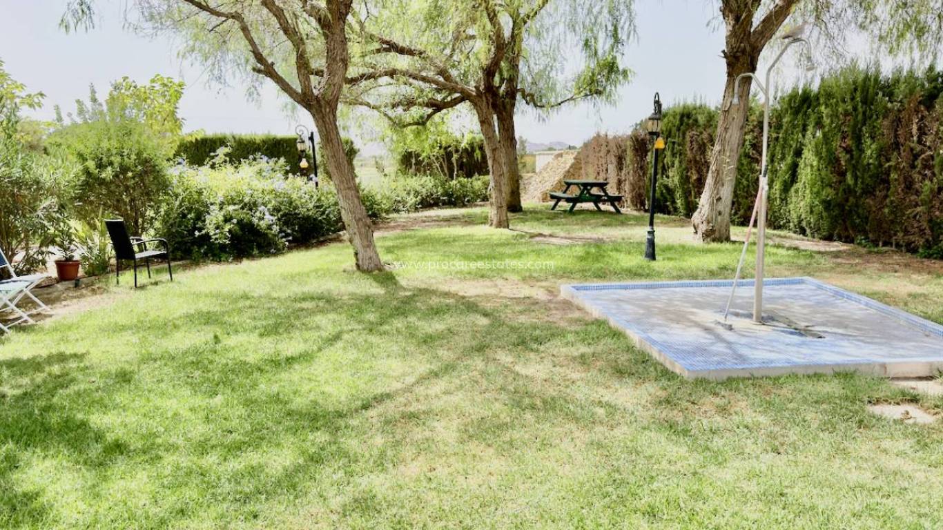 Reventa - Apartamento - Catral