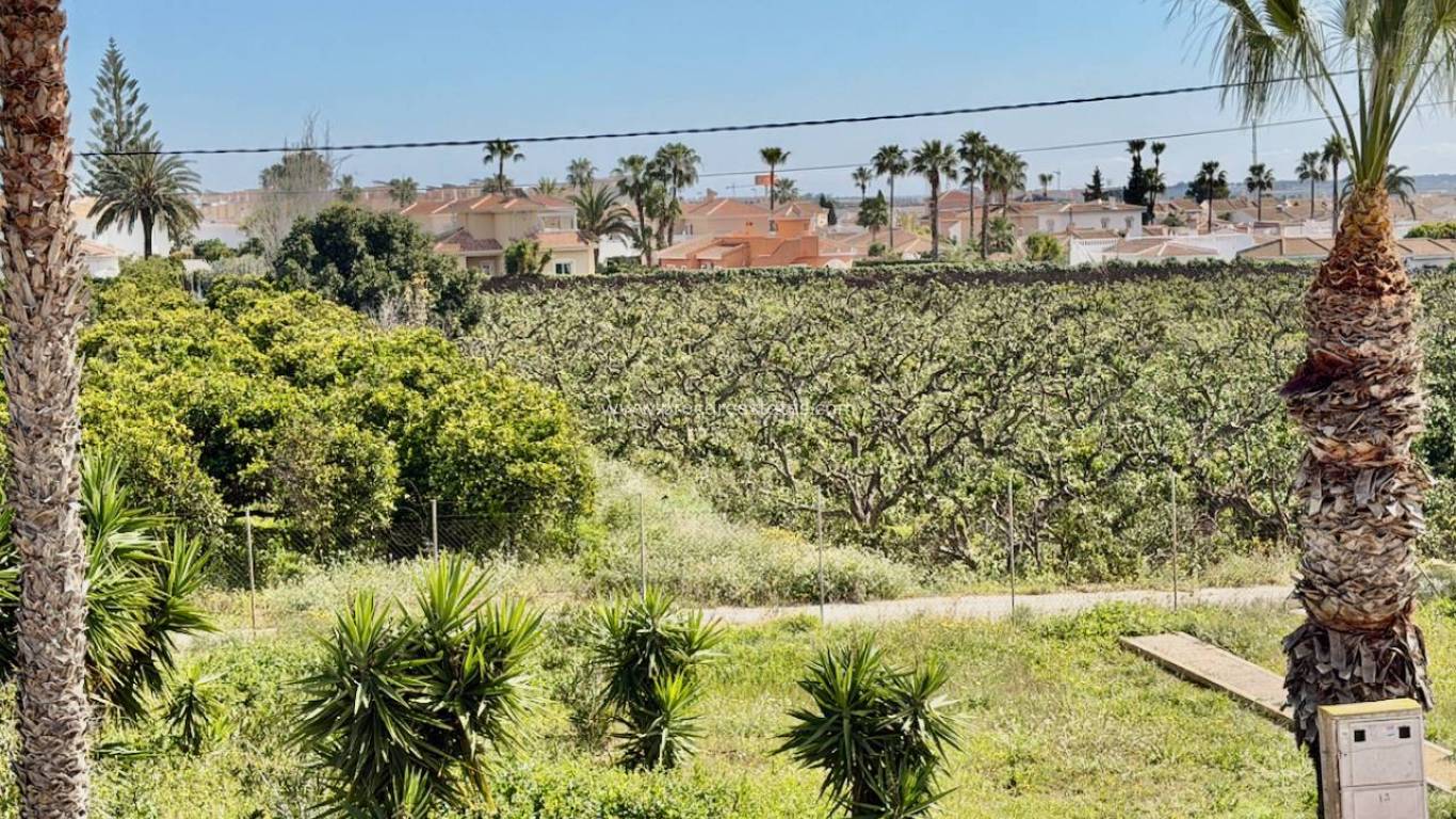 Reventa - Apartamento - Ciudad Quesada - Doña Pepa