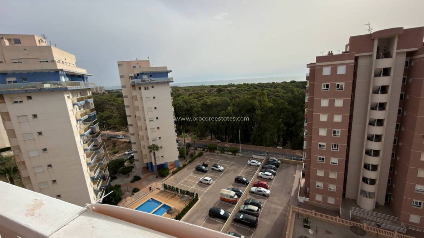 Reventa - Apartamento - Guardamar del Segura