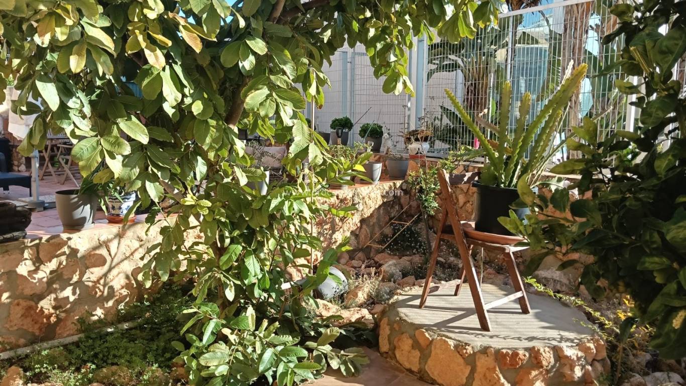 Reventa - Apartamento - Los Montesinos - Los Montesinos town