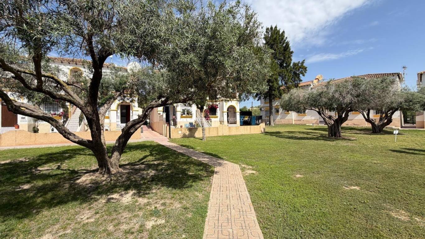Reventa - Apartamento - Orihuela Costa - La Zenia