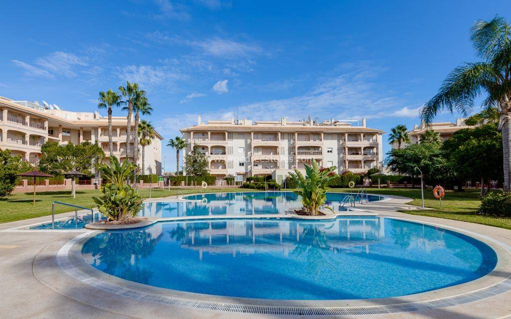 Reventa - Apartamento - Orihuela Costa - Playa Flamenca
