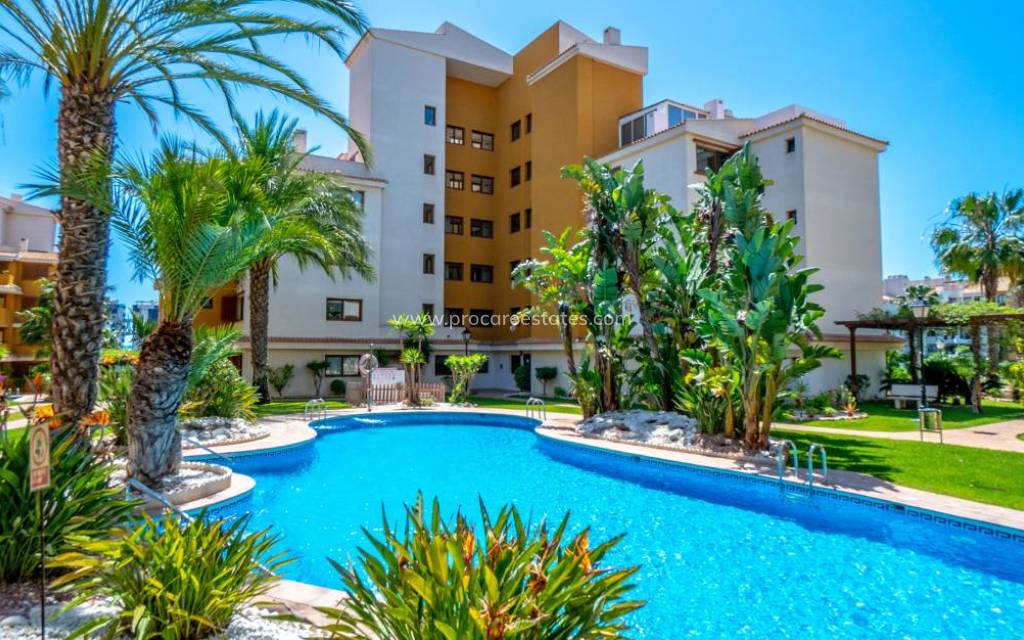Reventa - Apartamento - Orihuela Costa - Punta Prima