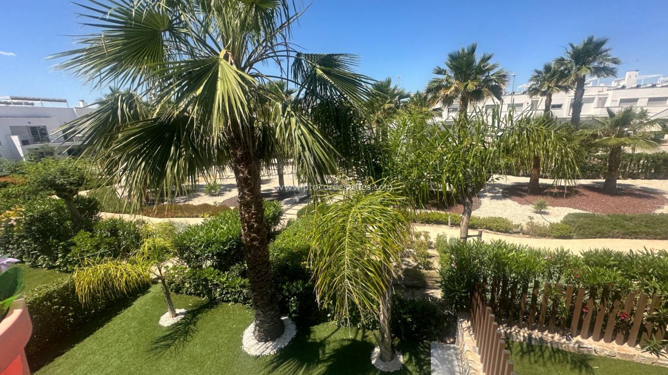 Reventa - Apartamento - Orihuela - Vistabella Golf