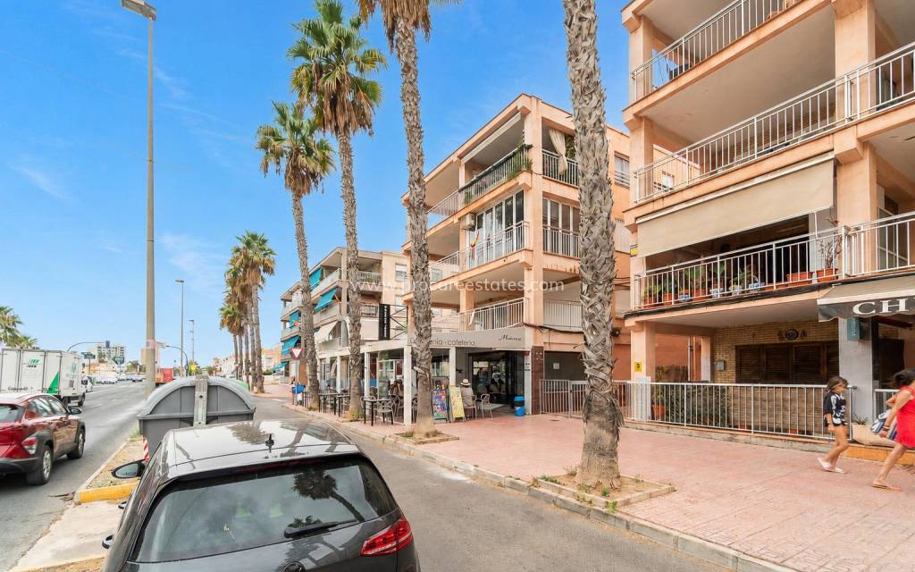Reventa - Apartamento - Torrevieja - Acequion
