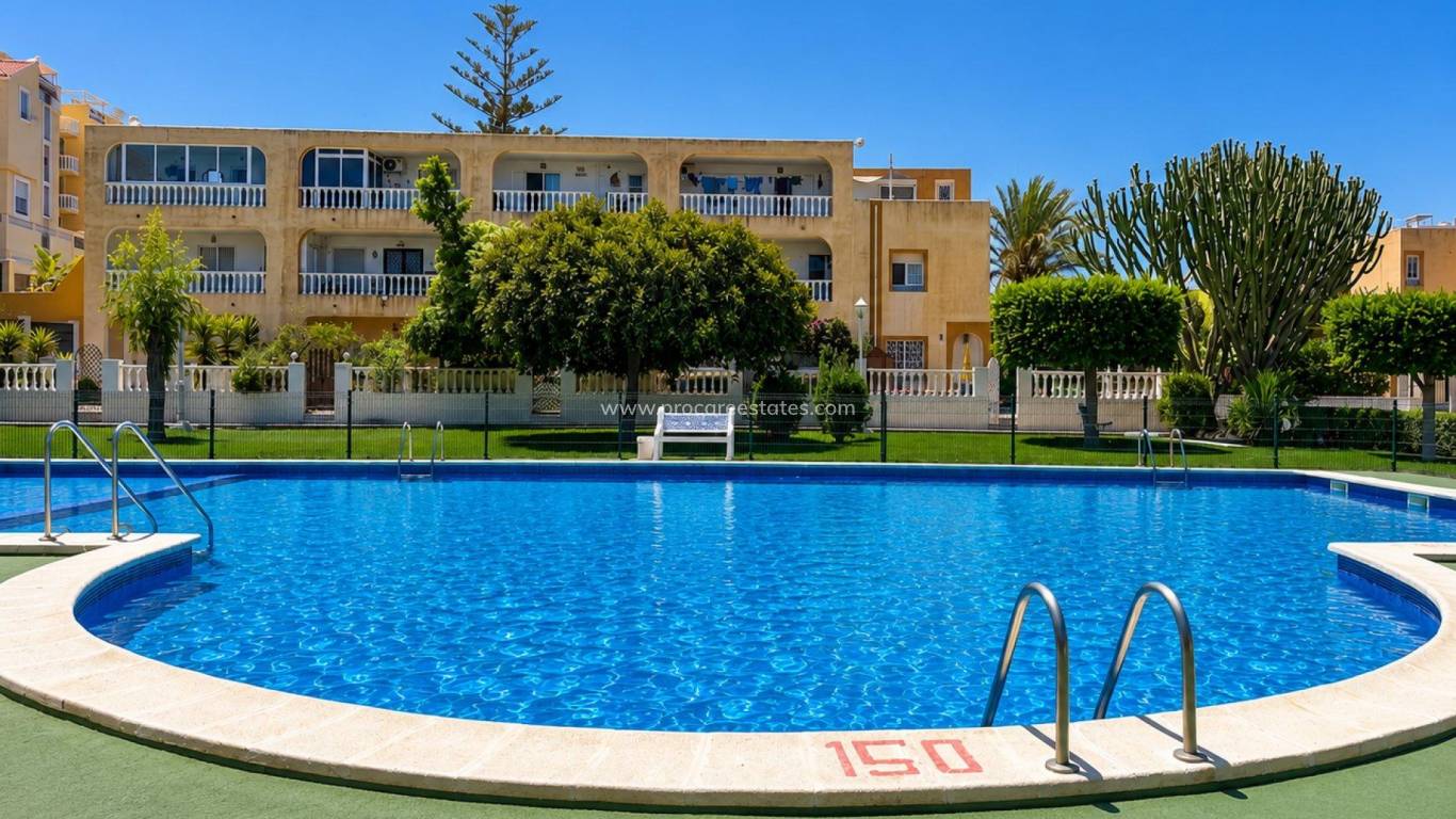 Reventa - Apartamento - Torrevieja - Cabo Cervera