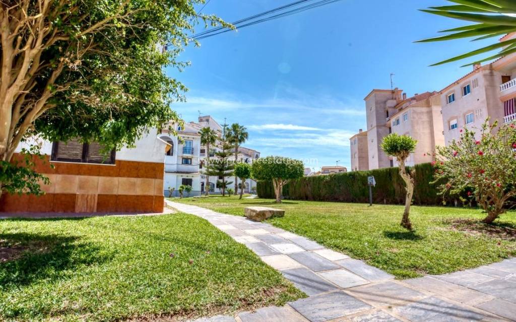 Reventa - Apartamento - Torrevieja - Playa Del Cura