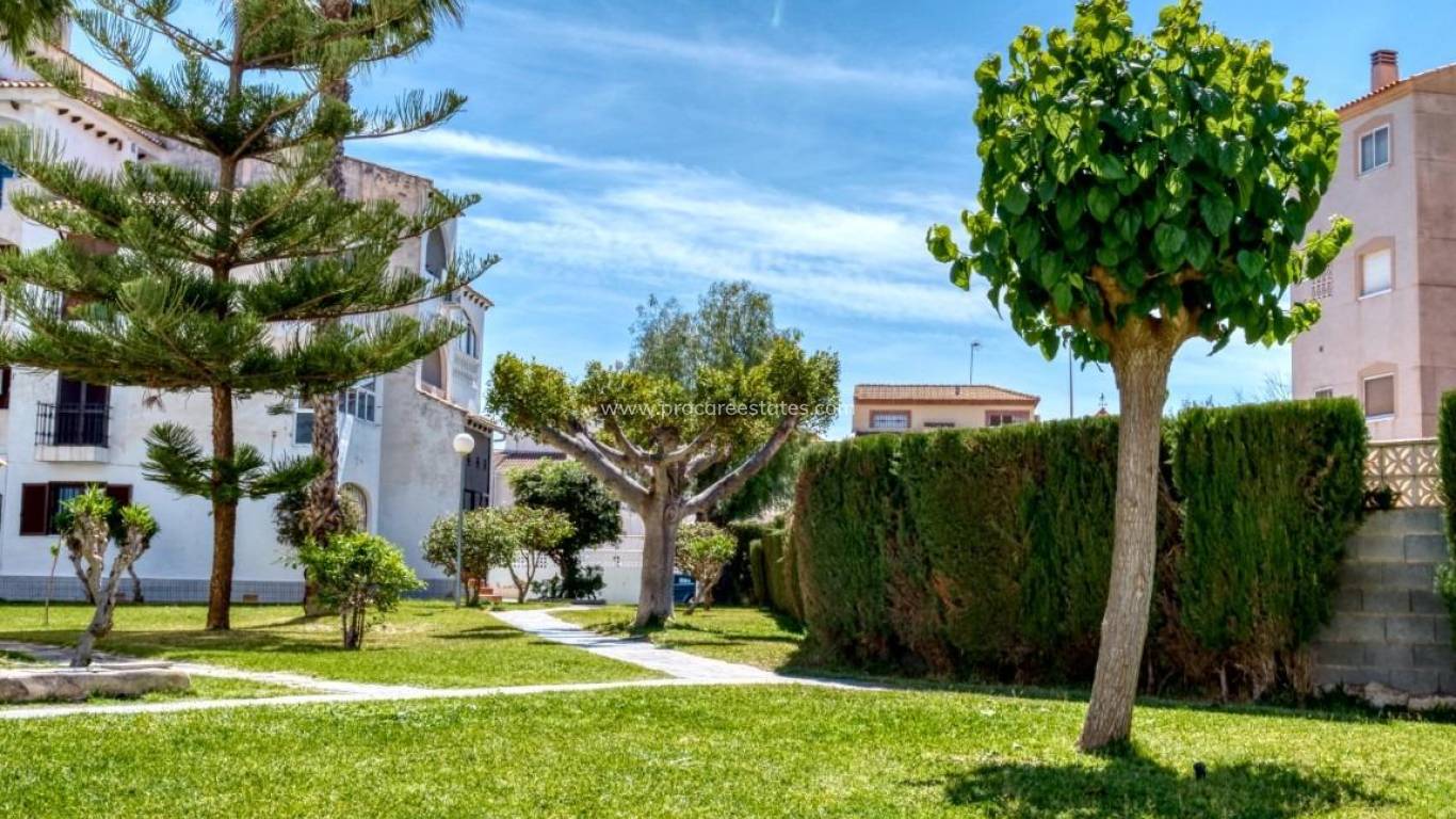 Reventa - Apartamento - Torrevieja - Playa Del Cura