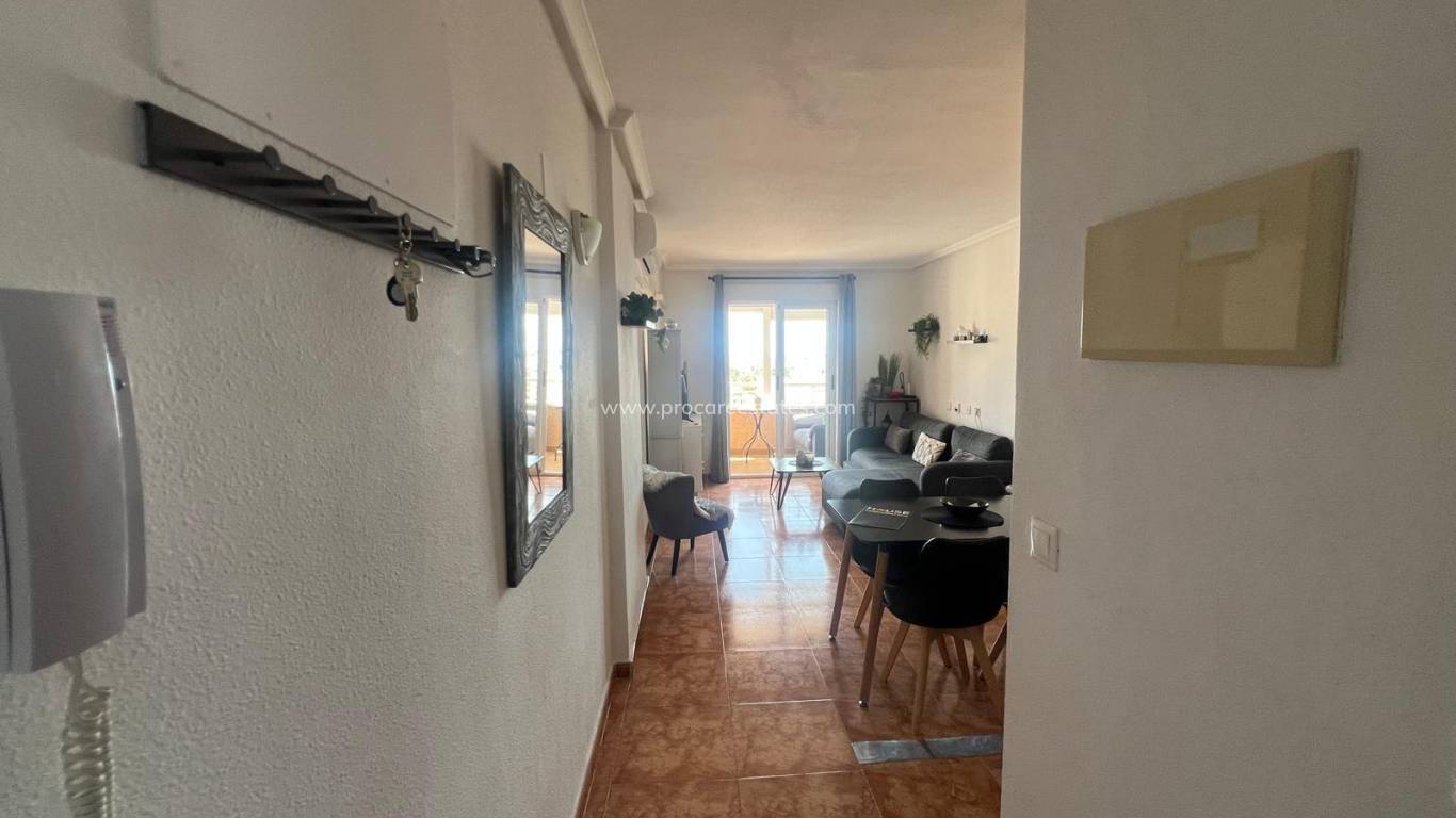 Reventa - Apartamento - Torrevieja - Playa Los Locos