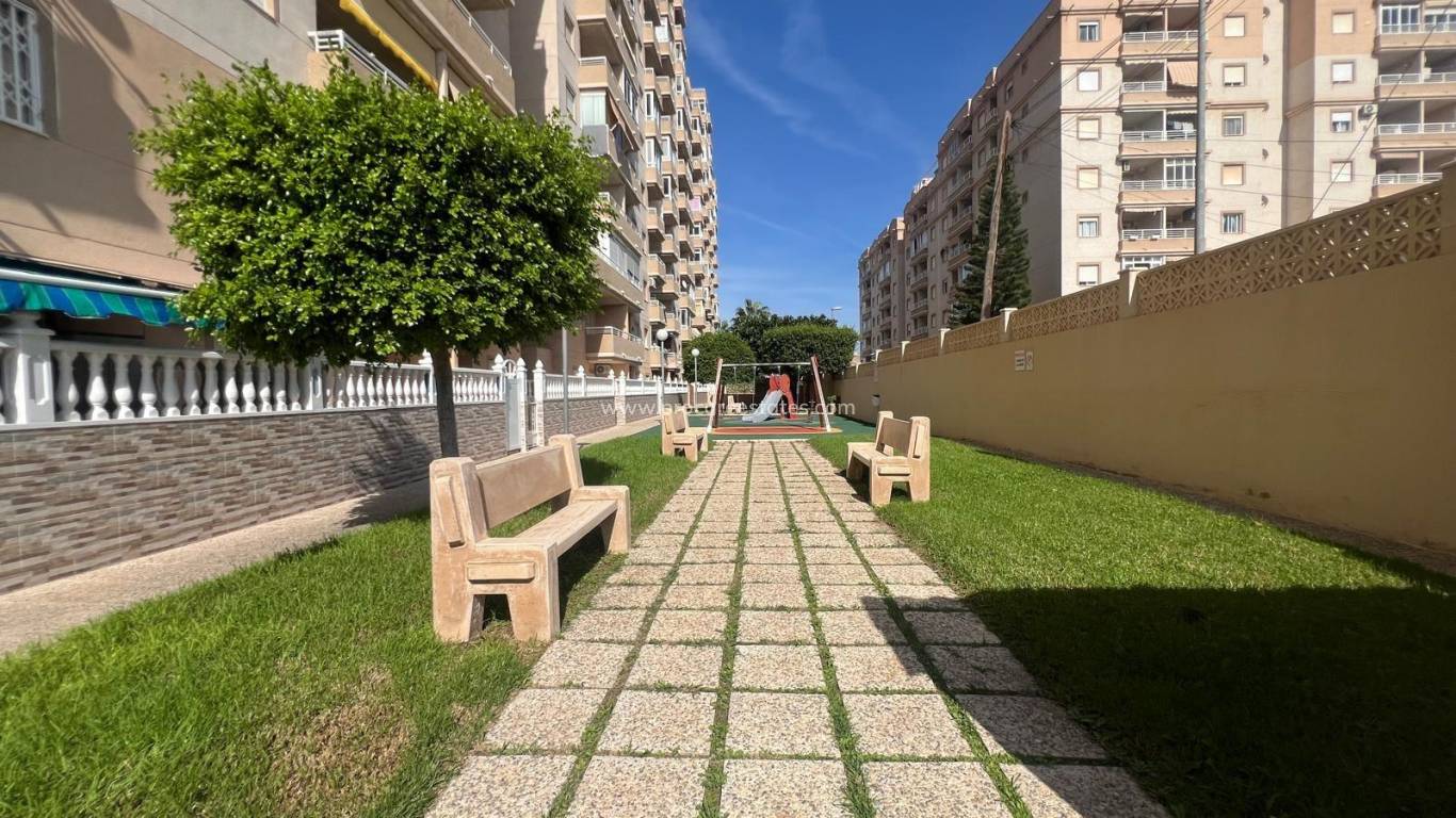 Reventa - Apartamento - Torrevieja - Playa Los Locos