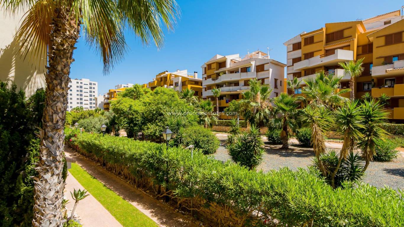Reventa - Apartamento - Torrevieja - Punta Prima