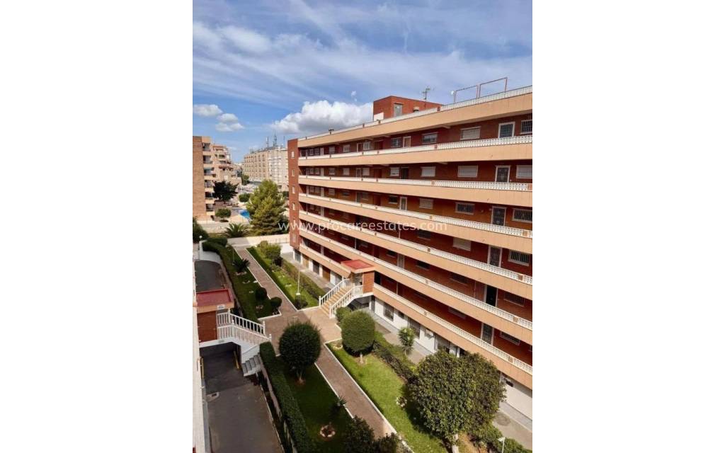 Reventa - Apartamento - Torrevieja - Punta Prima