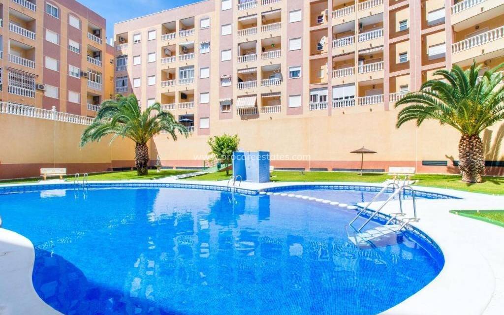 Reventa - Apartamento - Torrevieja - Torrevieja Center