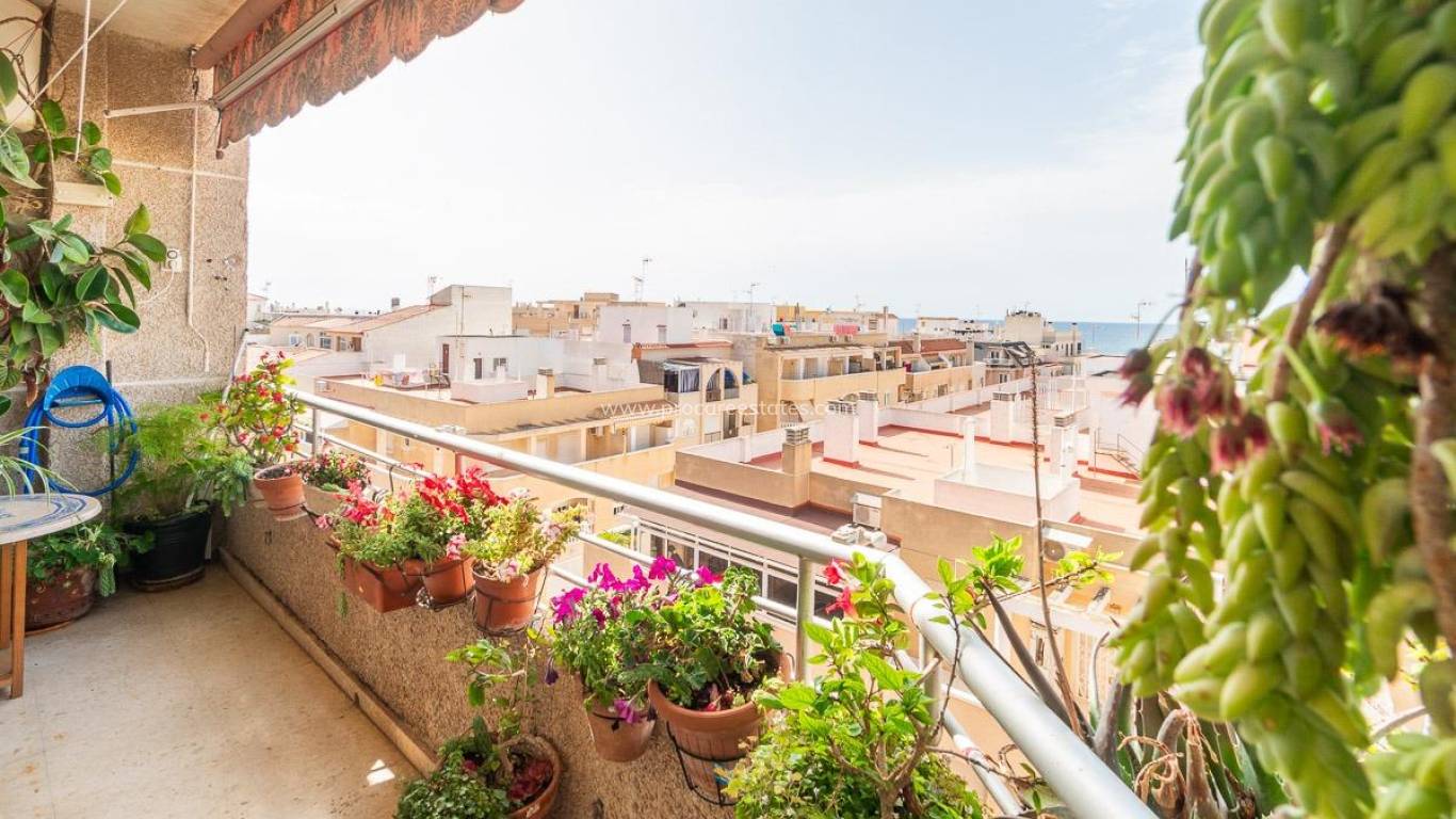 Reventa - Apartamento - Torrevieja - Torrevieja Center