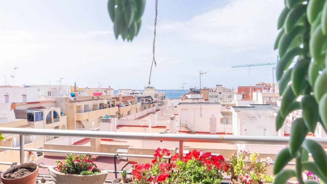 Reventa - Apartamento - Torrevieja - Torrevieja Center