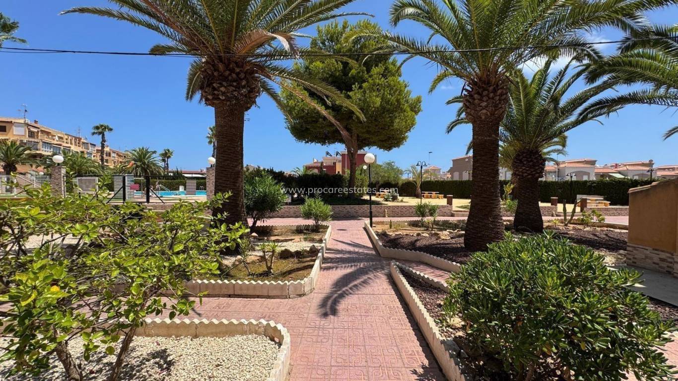 Reventa - Apartamento - Torrevieja