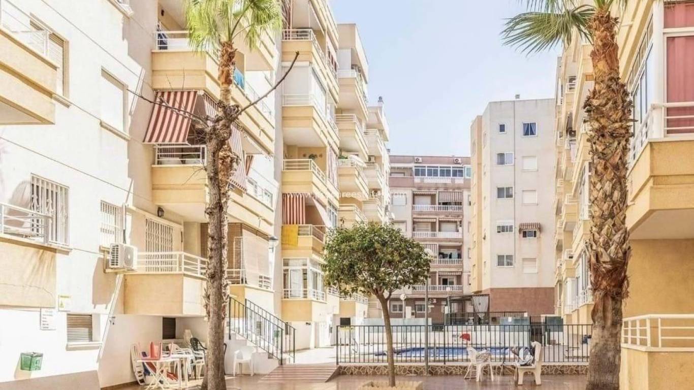 Reventa - Apartamento - Torrevieja