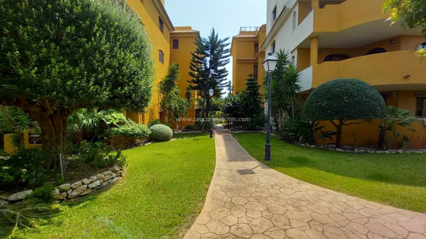 Reventa - Ático - Orihuela Costa - Punta Prima