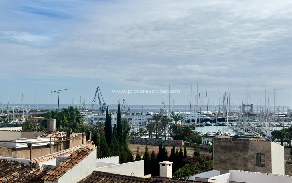 Reventa - Ático - Palma