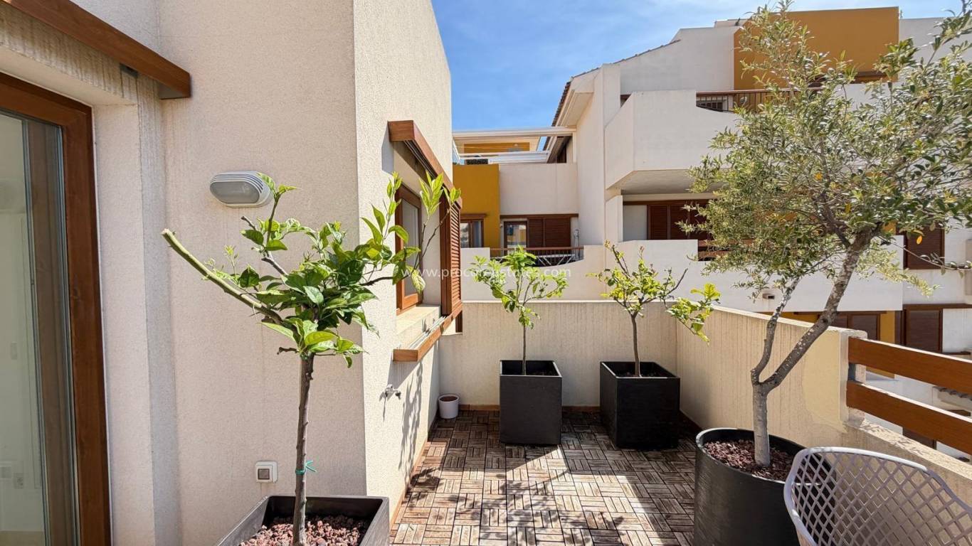 Reventa - Ático - Torrevieja - Punta Prima