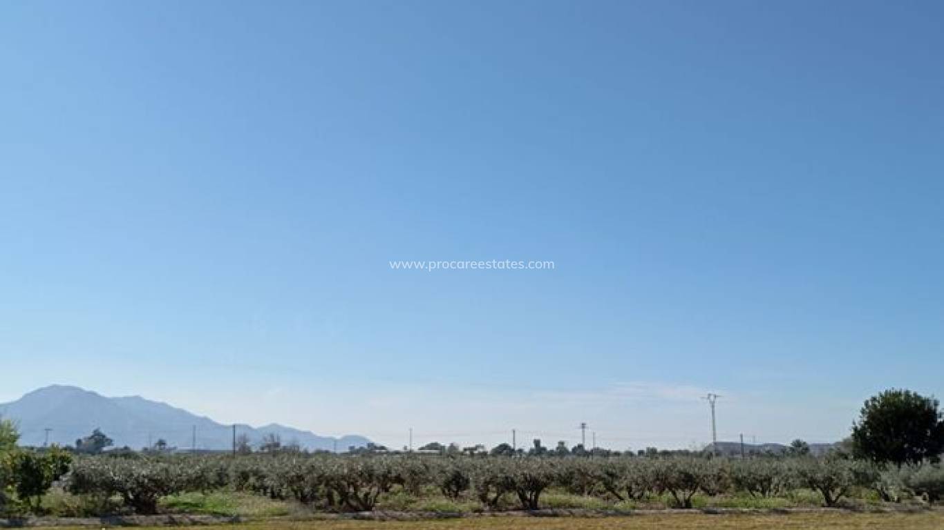 Reventa - Casa de pueblo - Catral