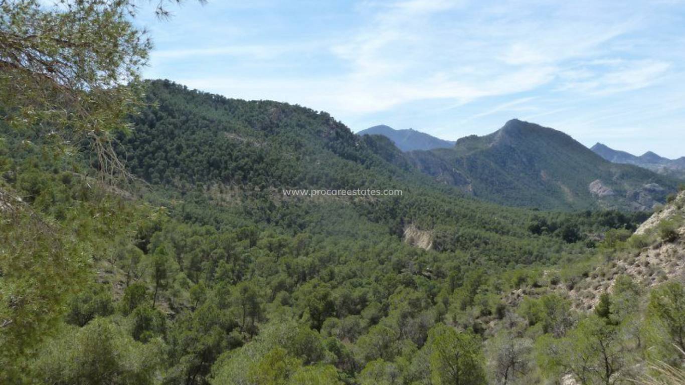 Reventa - Casa de pueblo - Murcia