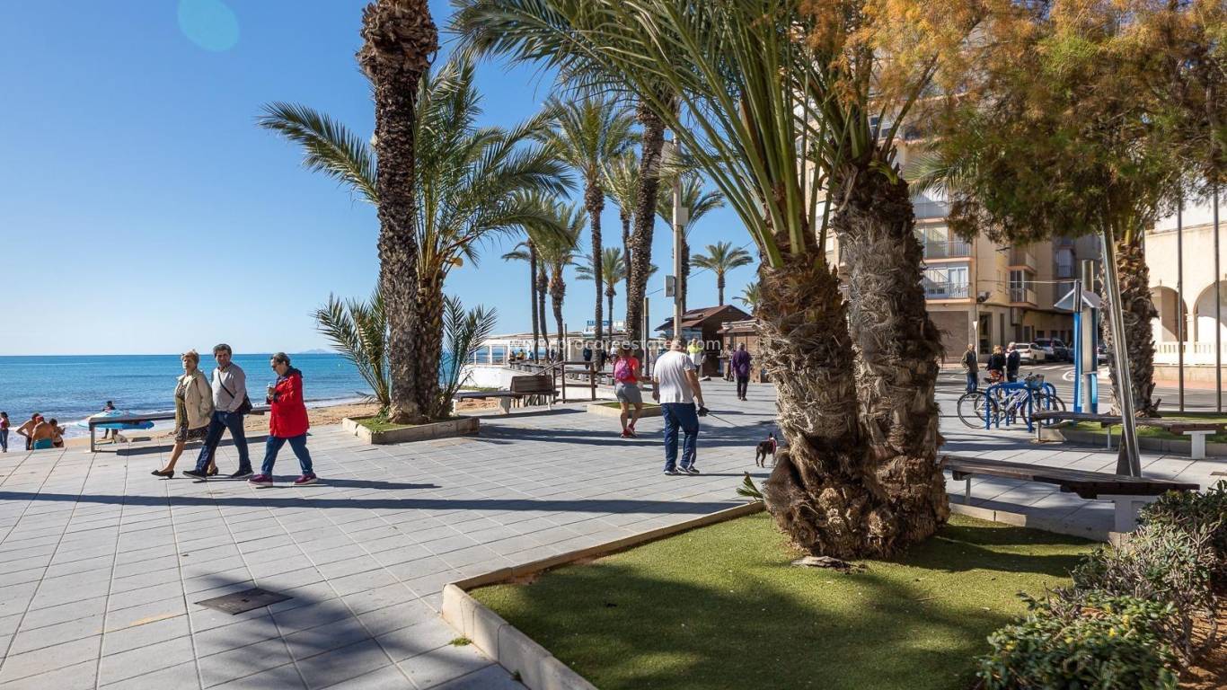 Reventa - Casa de pueblo - Torrevieja - Torrevieja Center