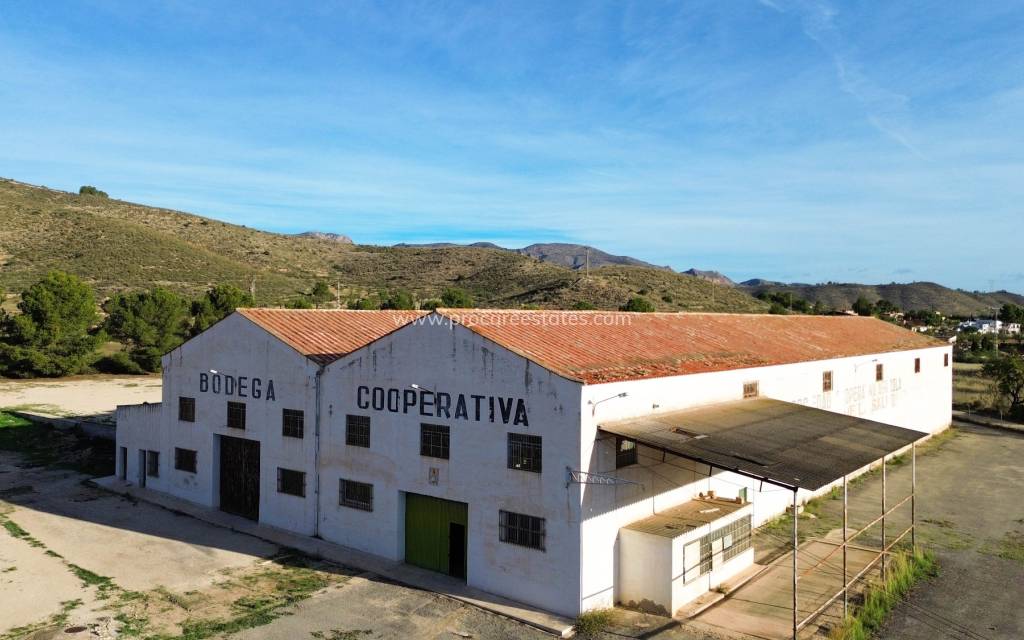 Reventa - Propiedad comercial - Hondon De Los Frailes