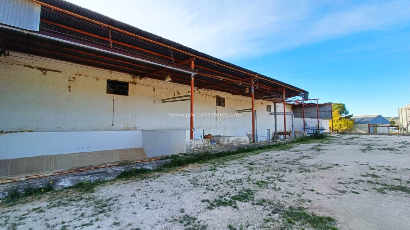 Reventa - Propiedad comercial - Hondon De Los Frailes