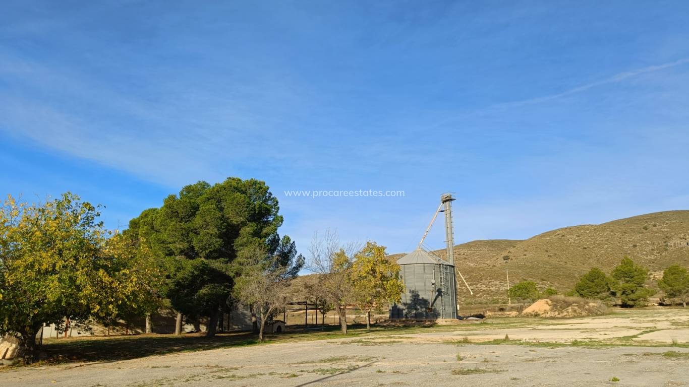 Reventa - Propiedad comercial - Hondon De Los Frailes