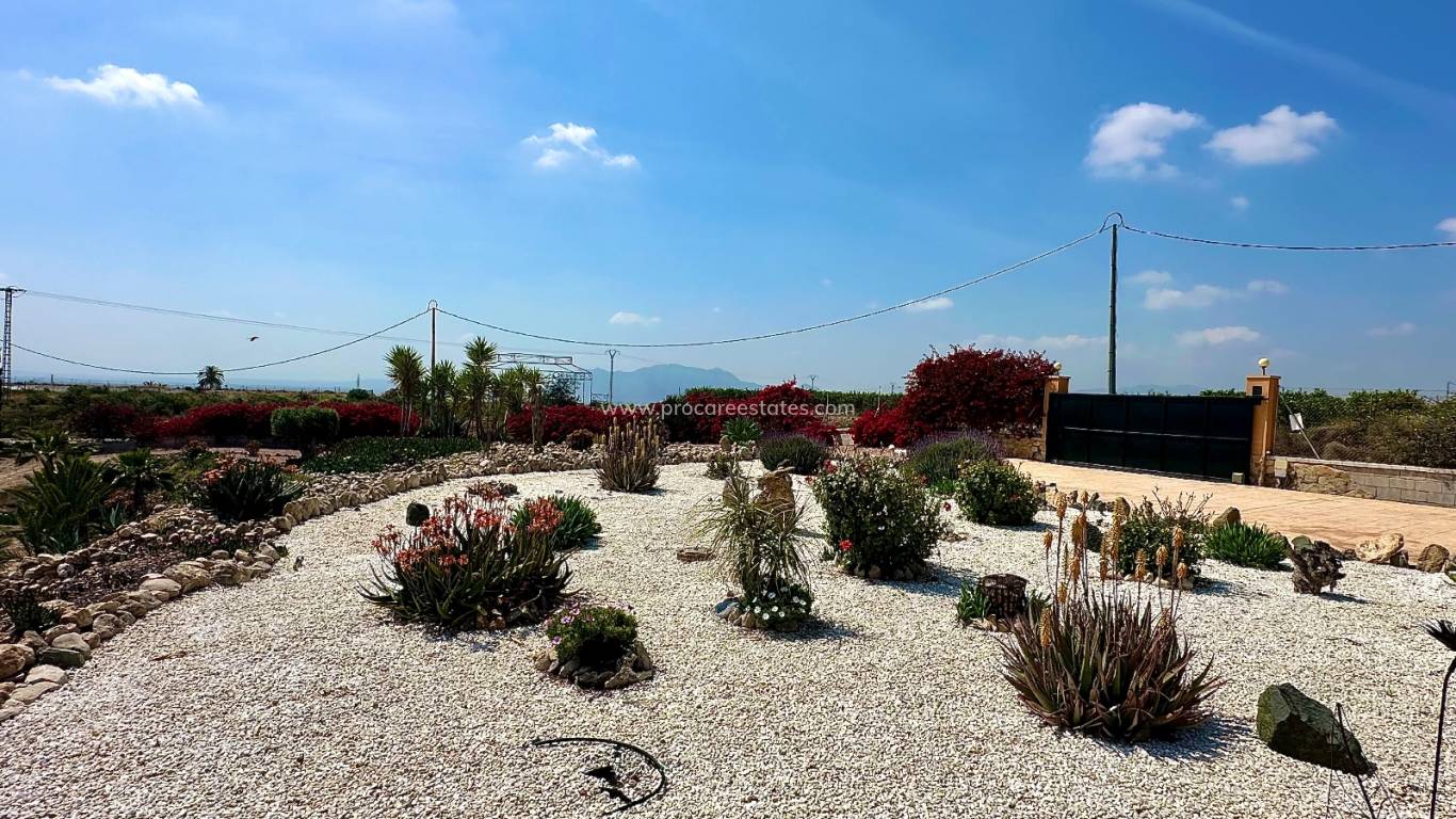 Reventa - Propiedad de campo - Albatera