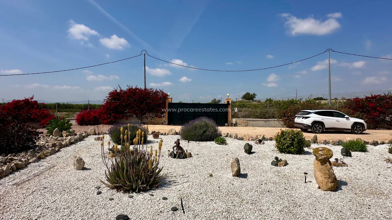 Reventa - Propiedad de campo - Albatera