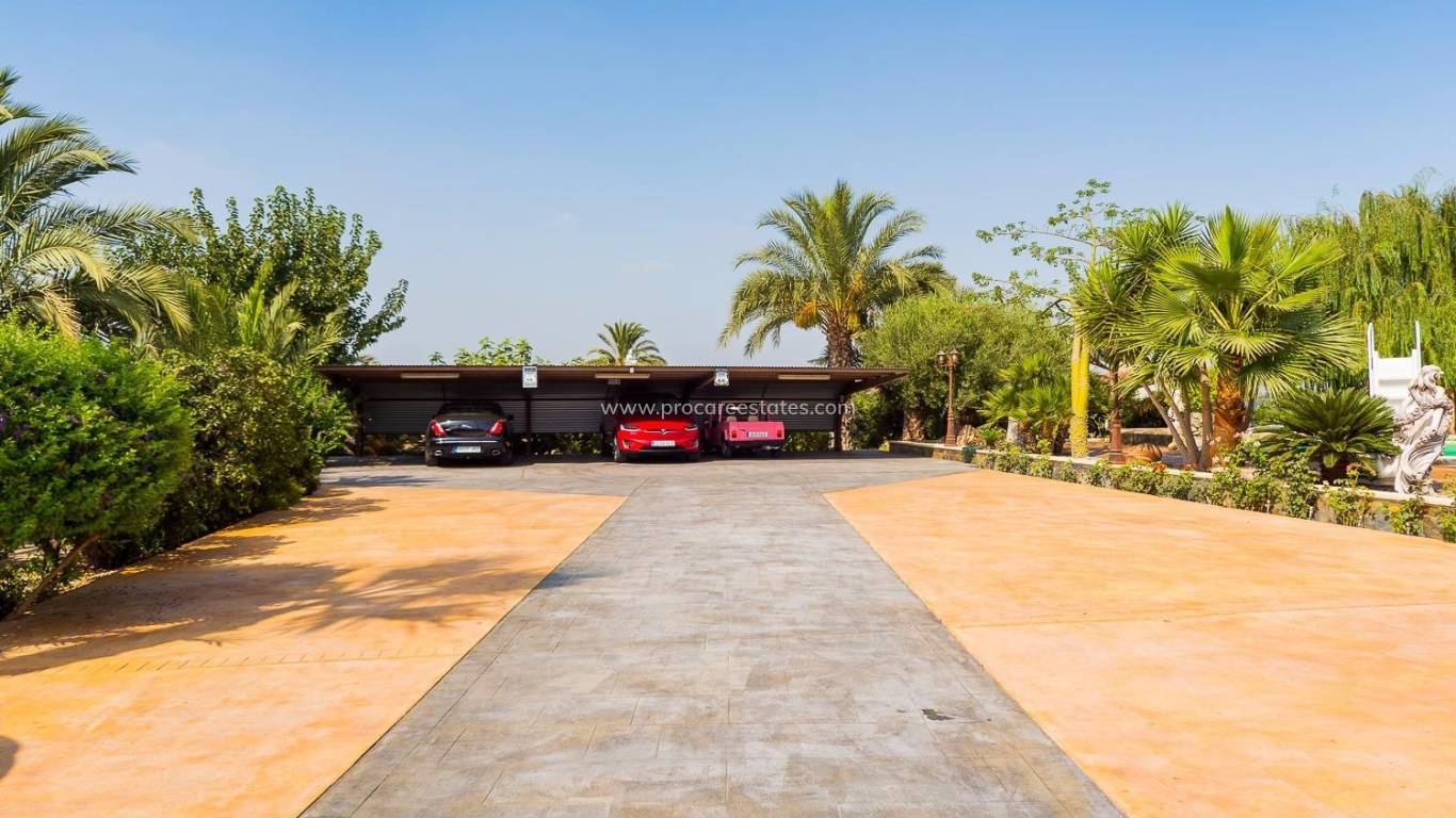 Reventa - Propiedad de campo - Almoradi