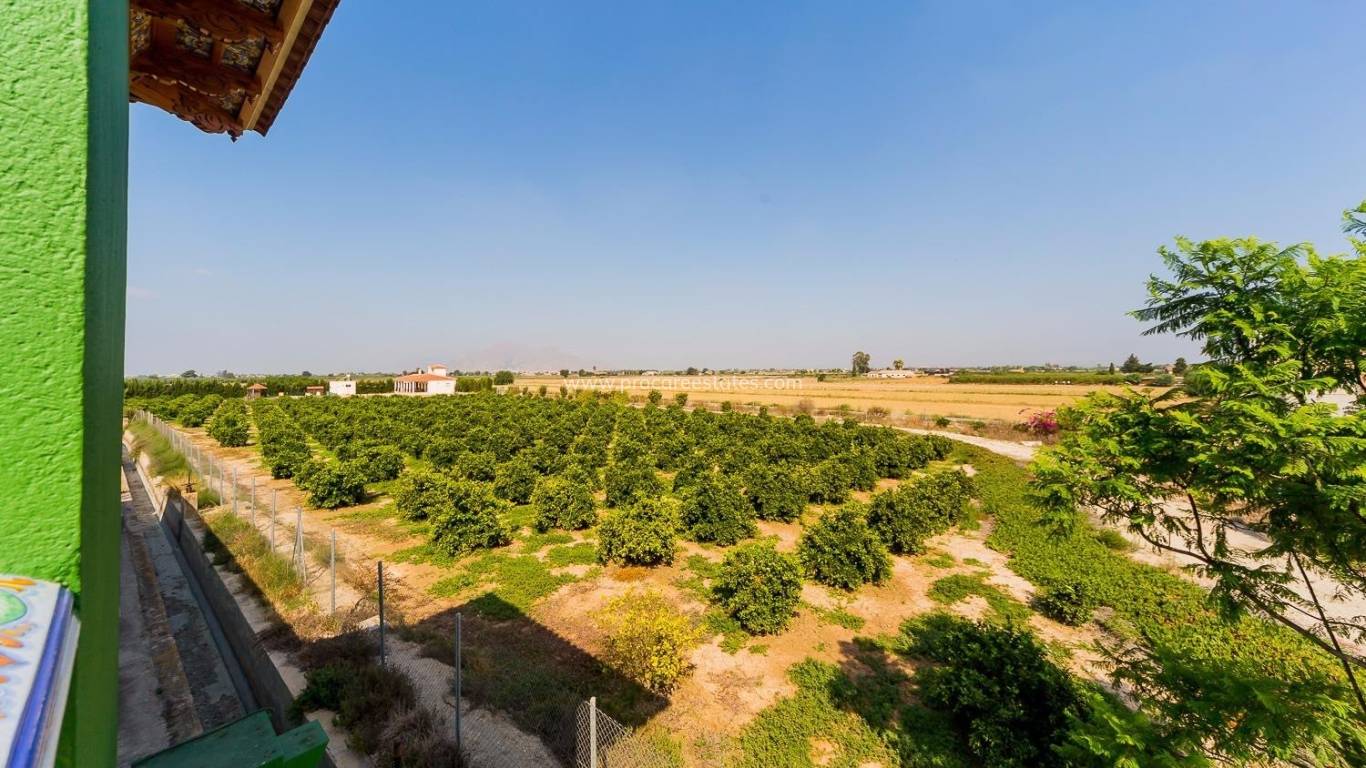 Reventa - Propiedad de campo - Almoradi