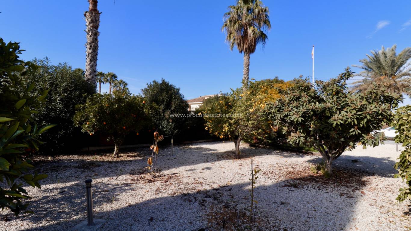 Reventa - Propiedad de campo - Catral