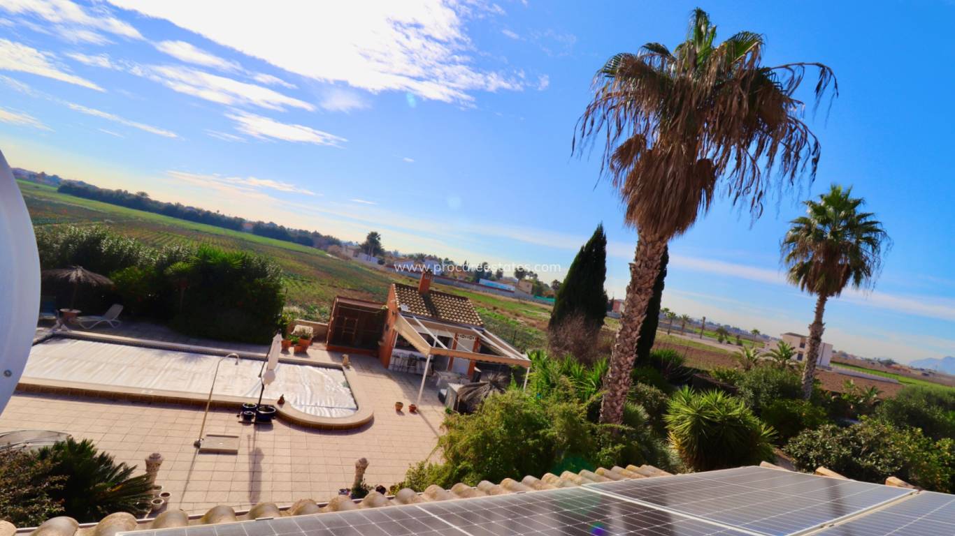 Reventa - Propiedad de campo - Catral