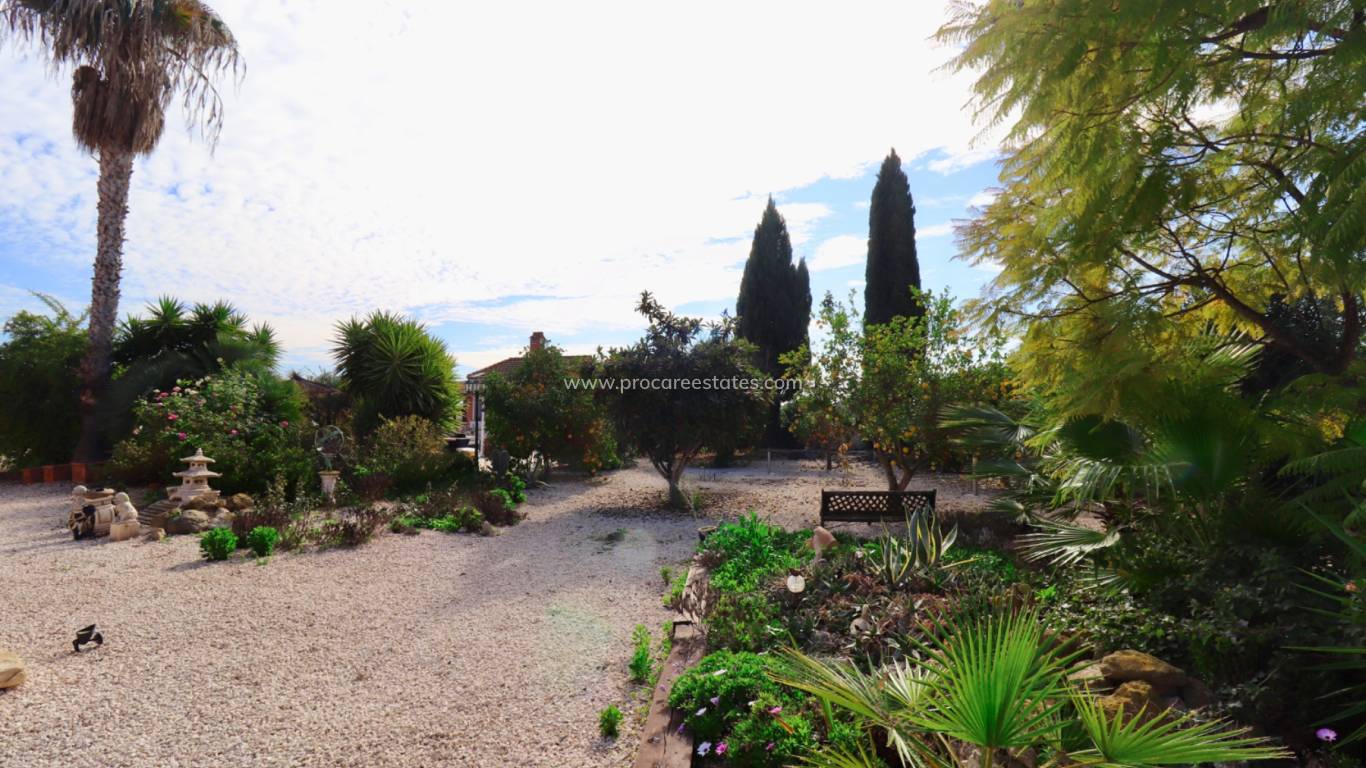 Reventa - Propiedad de campo - Catral