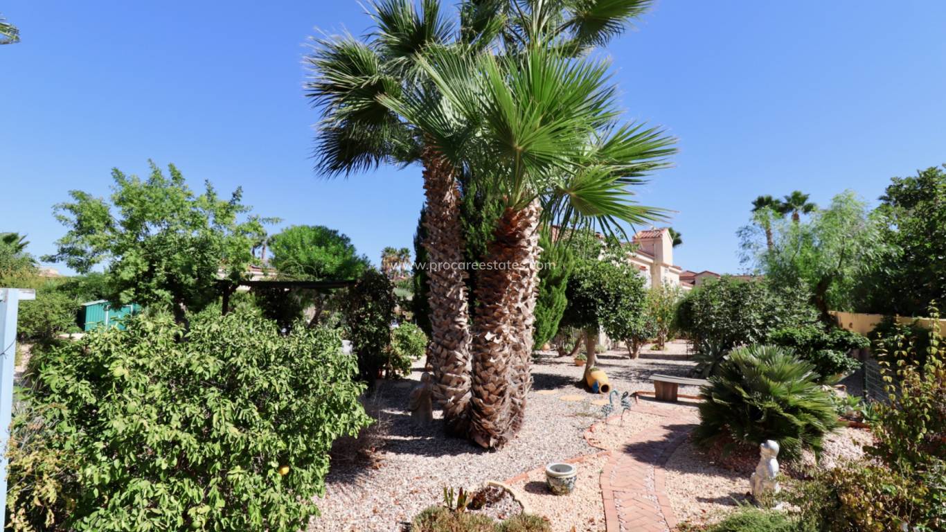 Reventa - Propiedad de campo - Catral