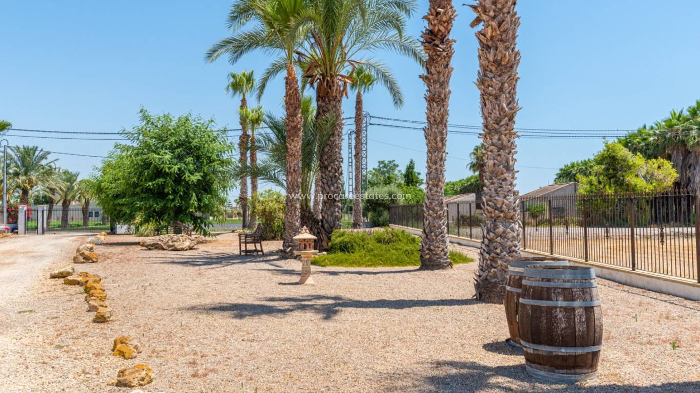 Reventa - Propiedad de campo - Catral