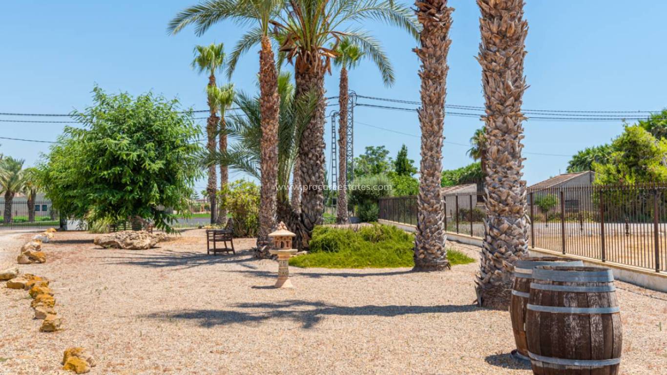 Reventa - Propiedad de campo - Catral