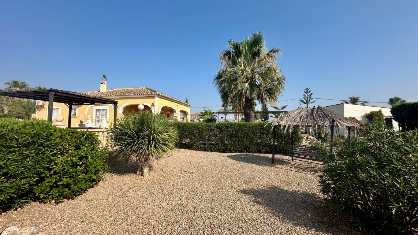 Reventa - Propiedad de campo - Catral