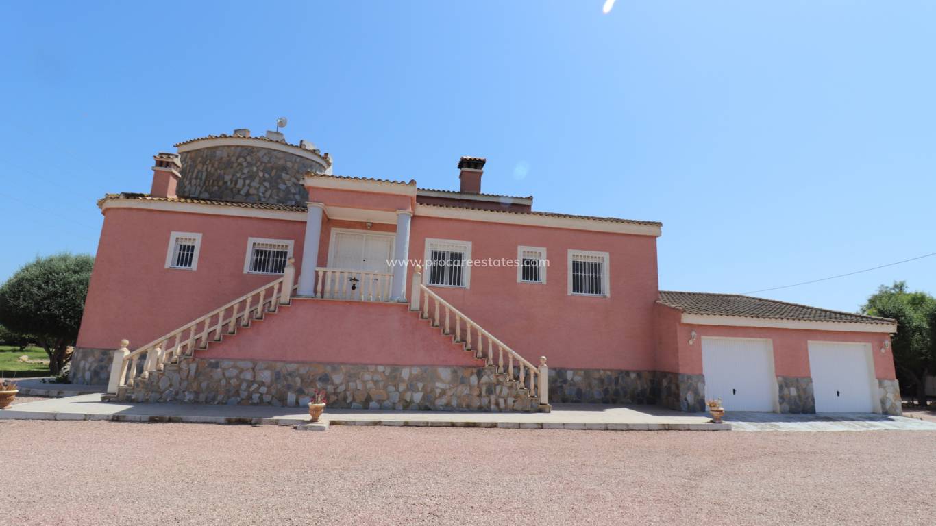 Reventa - Propiedad de campo - Crevillente