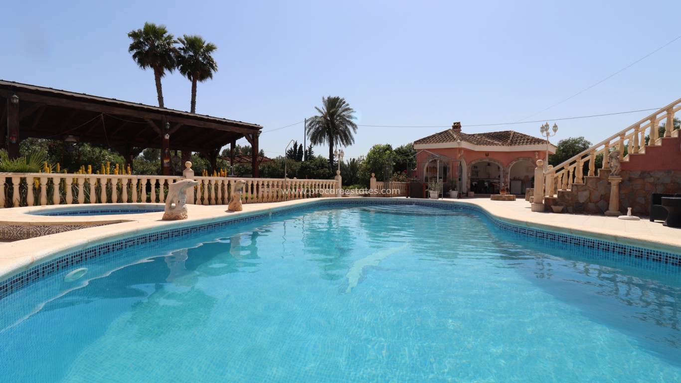 Reventa - Propiedad de campo - Crevillente