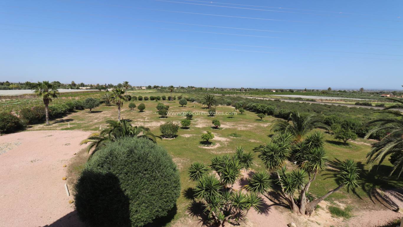 Reventa - Propiedad de campo - Crevillente