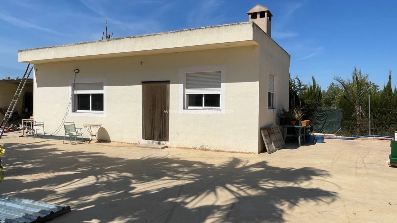 Reventa - Propiedad de campo - Crevillente