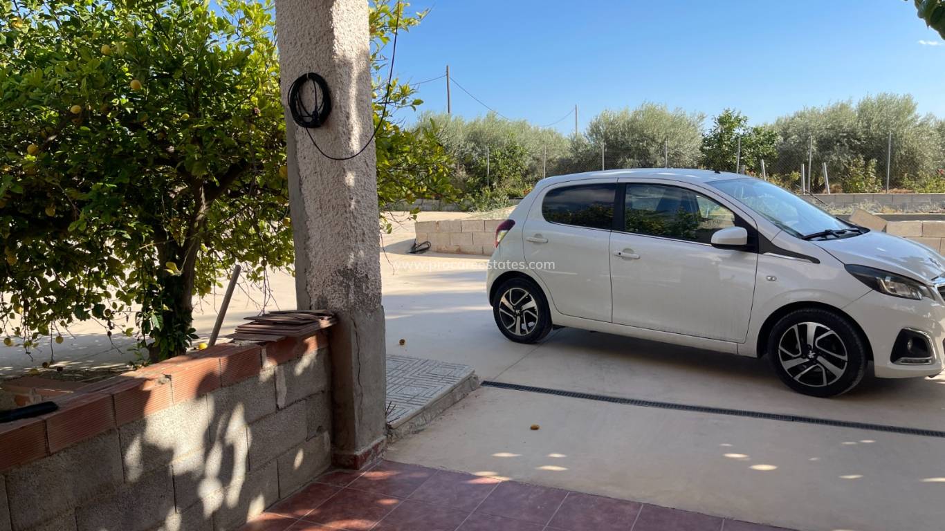 Reventa - Propiedad de campo - Crevillente