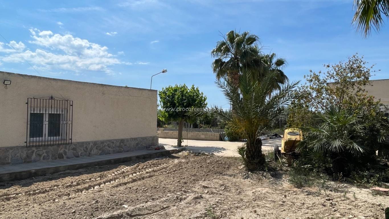 Reventa - Propiedad de campo - Crevillente