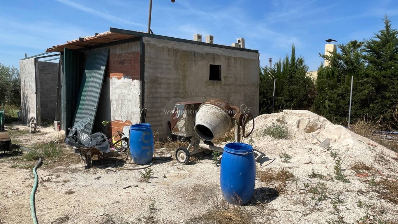 Reventa - Propiedad de campo - Crevillente